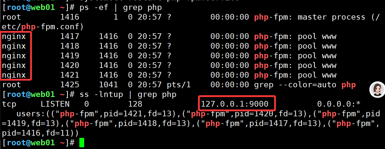 动态网站架构 动态网站架构